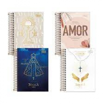 AGENDA 2025 ESP BIBLICA M5 R314269 TILIBRA